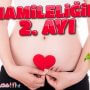 Hamileliğin 2. Ayı