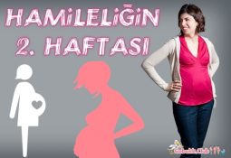 hamileliğin 2. haftası, beslenme, spor, hamilelik belirtileri, gebelik testi