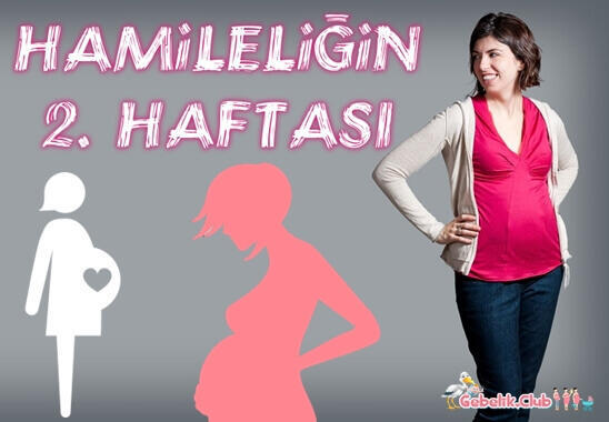 hamileliğin 2. haftası, beslenme, spor, hamilelik belirtileri, gebelik testi