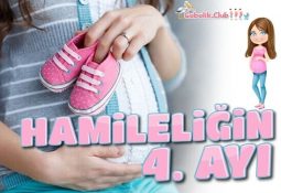 Hamileliğin 4. Ayı