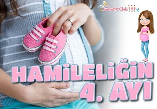 Hamileliğin 4. Ayı