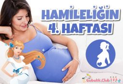 hamileliğin 4. haftasında beslenme, anne ve bebekteki değişimler, belirtiler ve yapılması gereken testler