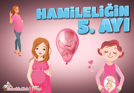 Hamileliğin 5. Ayı