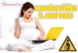 Hamileliğin 5. Haftası