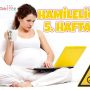Hamileliğin 5. Haftası