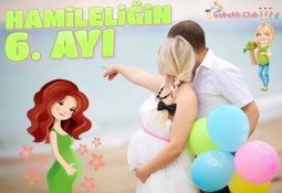 Hamileliğin 6. Ayı