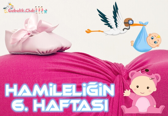 Hamileliğin 6. Haftası