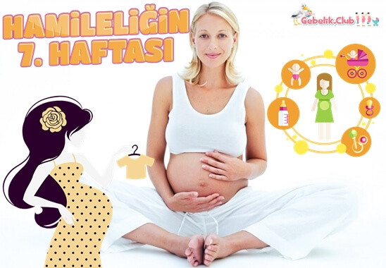 Hamileliğin 7. Haftası