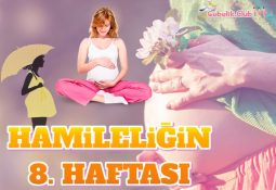 Hamileliğin 8. Haftası