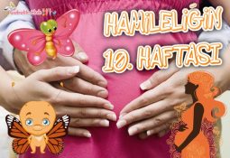 Hamileliğin 10. Haftası