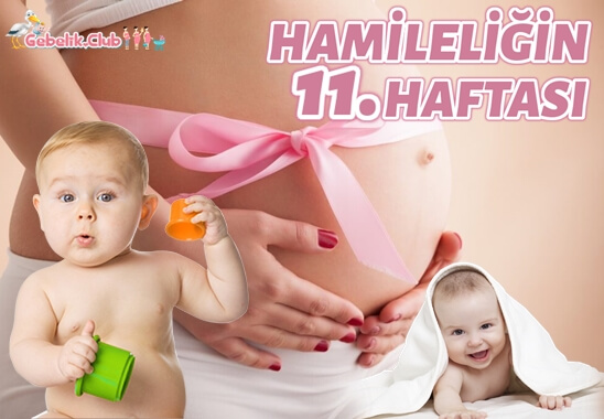 Hamileliğin 11. Haftası
