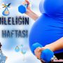 Hamileliğin 12. Haftası