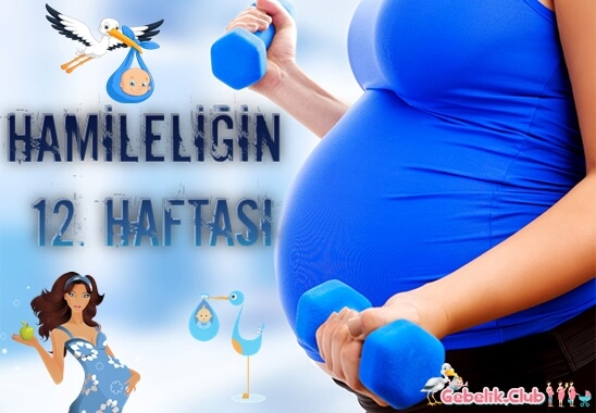 Hamileliğin 12. Haftası