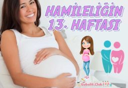 Hamileliğin 13. Haftası