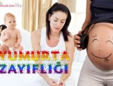 Yumurta Zayıflığı Nedir? Nasıl Tedavi Edilir? Hamile Kalınır mı?