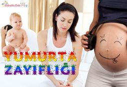 Yumurta Zayıflığı Nedir? Nasıl Tedavi Edilir? Hamile Kalınır mı?