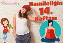 Hamileliğin 14. Haftası