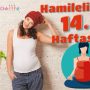 Hamileliğin 14. Haftası