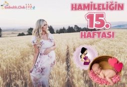 Hamileliğin 15. Haftası