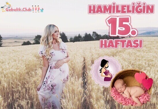 Hamileliğin 15. Haftası