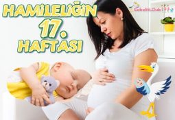 Hamileliğin 17. Haftası