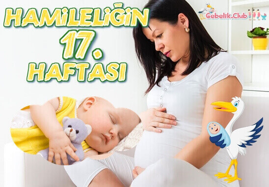 Hamileliğin 17. Haftası