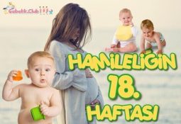 Hamileliğin 18. Haftası