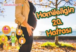 Hamileliğin 20. Haftası