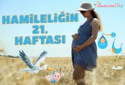 Hamileliğin 21. Haftası