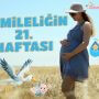 Hamileliğin 21. Haftası
