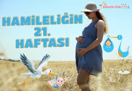Hamileliğin 21. Haftası