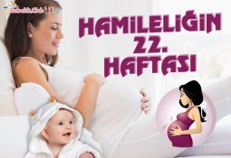 Hamileliğin 22. Haftası