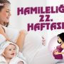 Hamileliğin 22. Haftası