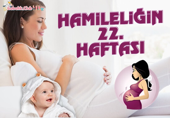 Hamileliğin 22. Haftası