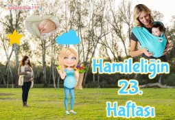 Hamileliğin 23. Haftası