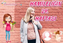 Hamileliğin 24. Haftası