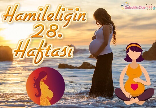 Hamileliğin (Gebeliğin) 28. Haftası