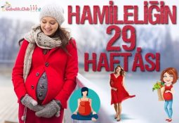 Hamileliğin (Gebeliğin) 29. Haftası ve Anne-Bebeği Bekleyen Değişimler