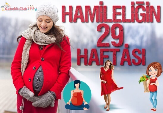 Hamileliğin (Gebeliğin) 29. Haftası ve Anne-Bebeği Bekleyen Değişimler