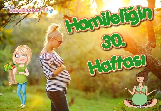 Hamileliğin (Gebeliğin) 30. Haftası
