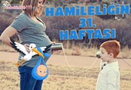 Hamileliğin (Gebeliğin) 31. Haftası