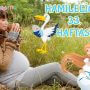 Hamileliğin (Gebeliğin) 33. Haftası - Bebeğin Kilosu ve Hareketleri