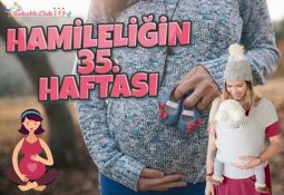 Hamileliğin (Gebeliğin) 35. Haftası - Anne ve Bebek Gelişimi