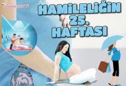 Hamileliğin 25. haftası - anne ve bebekteki değişiklikler - gebeliğin 25. haftasında bebeğin kilosu ve boyu