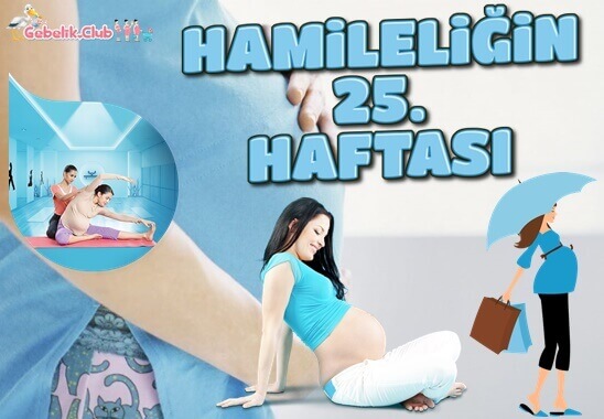 Hamileliğin 25. haftası - anne ve bebekteki değişiklikler - gebeliğin 25. haftasında bebeğin kilosu ve boyu