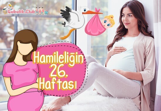 Hamileliğin (Gebeliğin) 26. Haftası