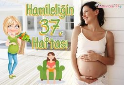 Hamileliğin 37. Haftası