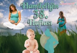Hamileliğin 38. Haftası