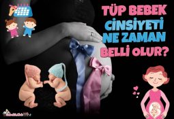 Tüp Bebek Cinsiyet Ne Zaman Belli Olur?