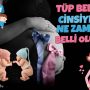 Tüp Bebek Cinsiyet Ne Zaman Belli Olur?